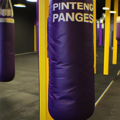 does planet fitness have boxing bags does planet fitness offer personal training sessions for professional boxers?