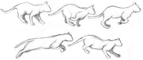 How to Draw a Cat Running: Exploring the Art and Grace of Feline Motion in Illustrations