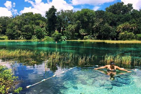 Is It Safe to Swim in a Creek? Exploring the Nuances of Natural Swimming Spots and Their Hidden Risks